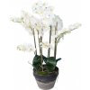 Květina Luxusní umělá květina Orchidej bílá, 105cm