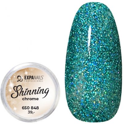 Expa nails třpytky na zdobení nehtů shining chrome glitter 8 2 g – Zboží Mobilmania