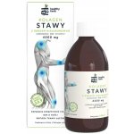Healthy Herb Kolagen pro klouby s kyselinou hyaluronovou 500 ml – Hledejceny.cz