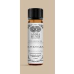 Anima Mundi esenciální olej Ravensara 15 ml – Hledejceny.cz