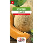 Meloun cukrový - Ananas – Hledejceny.cz