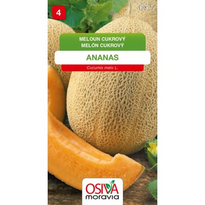 Meloun cukrový - Ananas – Hledejceny.cz