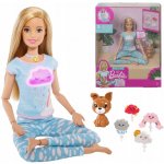 Barbie Wellness a meditace – Hledejceny.cz