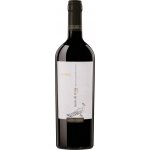 Canace Nero di Troia Puglia IGP 2024 0,75 l (holá láhev) – Zboží Dáma