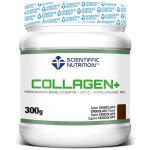 Scientiffic Nutrition Hydrolyzovaný kolagen prášek čokoláda 300 g – Hledejceny.cz