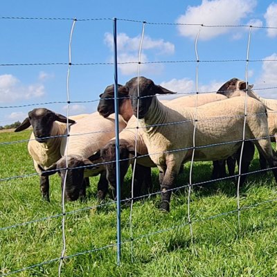 Modrá síť pro elektrický ohradník proti vlkům, výška 122 cm, délka 50 m, dvojitý hrot – Zboží Mobilmania