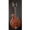 Mandolína Richwood RMF-220-WN