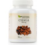 Natural Medicaments Chaga 500 mg 90 kapslí – Hledejceny.cz