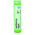 SAMBUCUS NIGRA POR 5CH GRA 4G – Hledejceny.cz