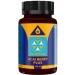 Bewit Prawtein Acai Berry Plus 100 ml – Hledejceny.cz