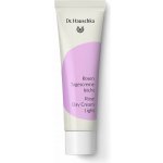 Dr. Hauschka Růžový krém 30 ml – Hledejceny.cz
