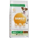 Iams Dog Adult Small & Medium s jehněčím masem 3 kg