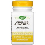 Nature's Way Choline & Inositol 100 kapslí – Hledejceny.cz
