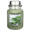 Svíčka Village Candle Sage & Celery 737 g