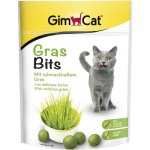 Gimborn Gimcat Gras Bits tabletky s kočičí trávou 40 g – Zbozi.Blesk.cz