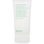 EVO Ground Control Scalp Treatment 150 ml – Hledejceny.cz