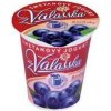 Jogurt a tvaroh Mlékárna Valašské Meziříčí Smetanový jogurt z Valašska borůvka 150 g