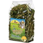 JR Farm Jitrocel 100 g – Zboží Mobilmania