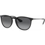 Ray-Ban RB4171 Erika 622 T3 – Zboží Dáma