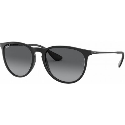 Ray-Ban RB4171 Erika 622 T3 – Hledejceny.cz