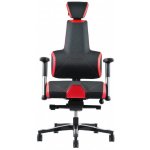 Prowork Therapia E+ Gamer Black/Red HX50/RX55 – Hledejceny.cz