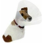 Kruuse Buster Clic Collar Plastový ochranný límec 40 cm – Zboží Mobilmania