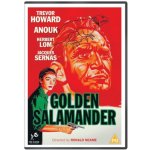 STRAWBERRY Golden Salamander DVD – Sleviste.cz