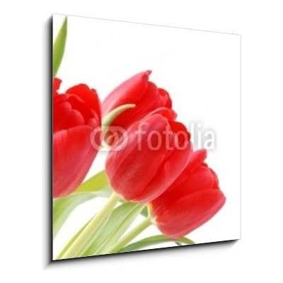 Obraz 1D - 50 x 50 cm - Tulpen tulipány – Zboží Mobilmania