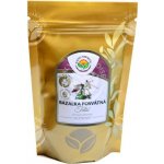 Salvia Paradise Tulsí bazalka posvátná mletá BIO 100 g – Hledejceny.cz