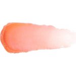 Bobbi Brown Extra Lip Tint tónující balzám na rty Bare Melon 2,3 g – Zboží Dáma