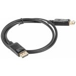 Lanberg CA-DPDP-10CC-0010-BK – Zboží Mobilmania