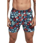 Cornette Classic 001 84 boxerky – Hledejceny.cz