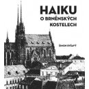 Haiku o brněnských kostelech - Šimon Ryšavý