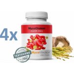 MycoMedica MycoCholest 4 x 120 kapslí – Hledejceny.cz