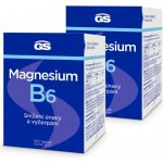 GS Magnesium s vitaminem B6 200 tablet – Hledejceny.cz