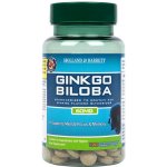 Holland & Barrett Ginkgo Biloba 60 mg 120 tablet – Hledejceny.cz