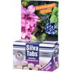 Silva Tabs Borůvky, rododendrony 250g – Zboží Mobilmania