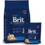Brit Kitten Premium 0,8 kg – Hledejceny.cz