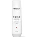 Goldwell DS Silver Šampon pro blond a šedivé vlasy 250 ml – Zboží Dáma