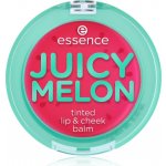 essence juicy melon balzám na rty a tváře 3 g – Zbozi.Blesk.cz