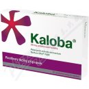 Volně prodejný lék KALOBA 20 MG POTAHOVANÉ TABLETY POR TBL FLM 21