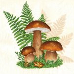 Ubrousky na dekupáž Boletus with Leaves of Fern – HobbyKompas.cz