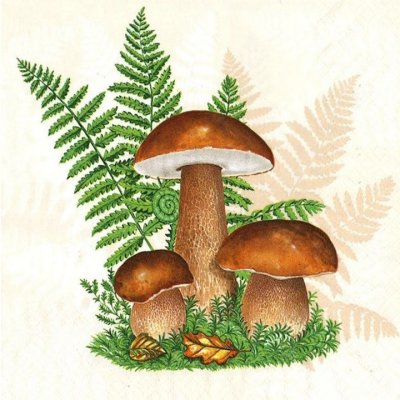 Ubrousky na dekupáž Boletus with Leaves of Fern – HobbyKompas.cz