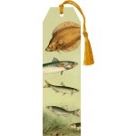 Knižní záložka Nordic Fishes – Hledejceny.cz