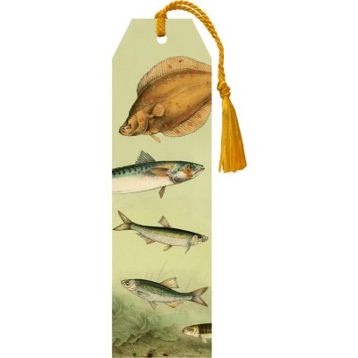 Knižní záložka Nordic Fishes – Hledejceny.cz