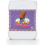 Advanced Nutrients Tasty Terpenes 1 l – Zboží Dáma