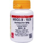 Sinecura WBO3.9 1929 60 tablet – Hledejceny.cz