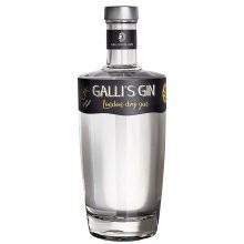 Galli's Gin 45% 0,5 l (holá láhev)