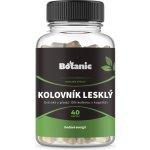 Botanic Kolovník lesklý kapsle 10% kofeinu 40 kapslí – Hledejceny.cz