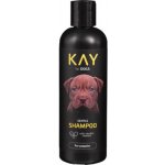 Kay for Dog antibakteriální 250 ml – Hledejceny.cz